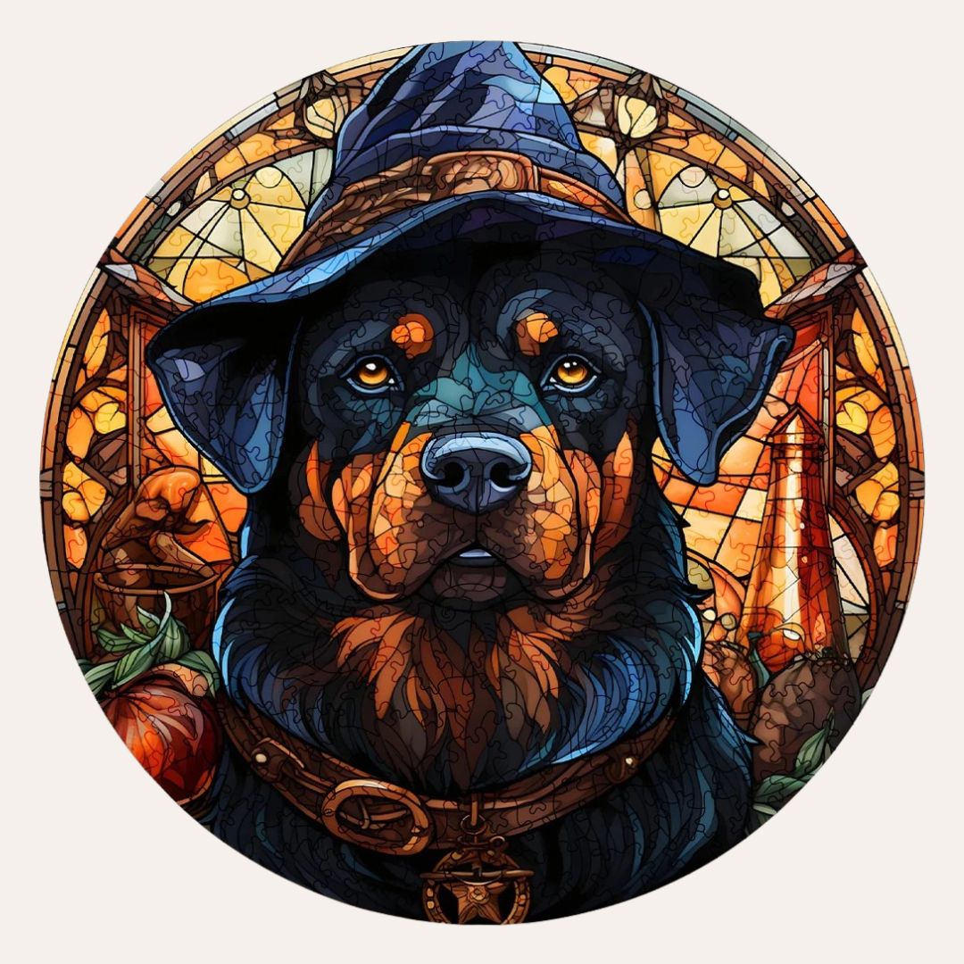 Puzzle Magnus | Chien