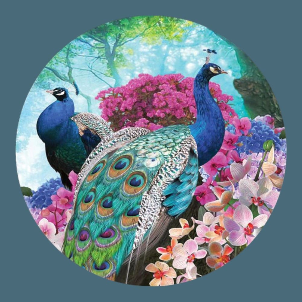 Puzzle Paon