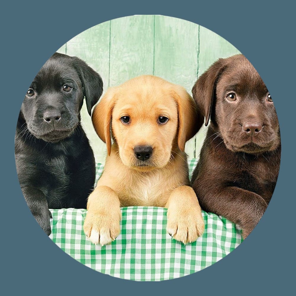 Puzzle Bois Animaux