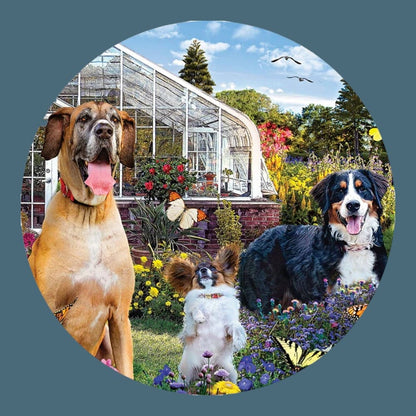 Puzzle Bois Animaux