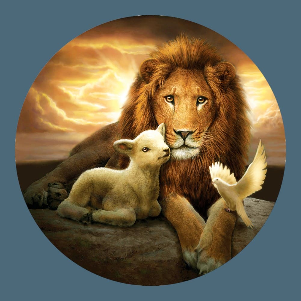 Puzzle 500 Pièces Lion