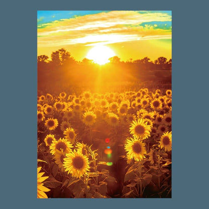 Puzzle 500 Pièces Paysage